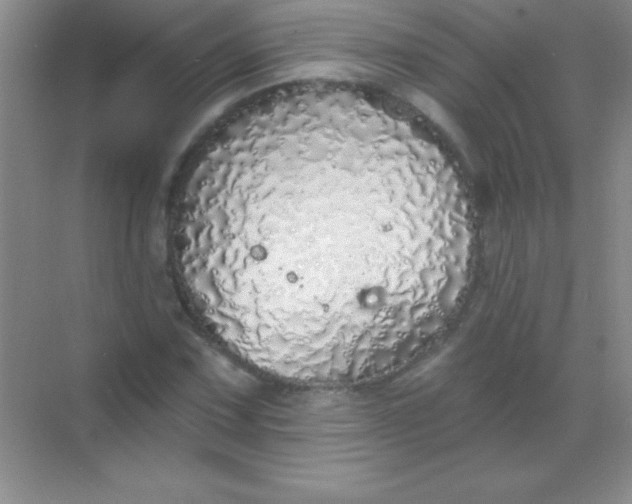 X0000068841067200605191919