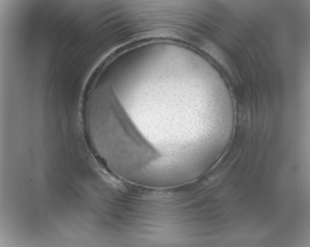 X0000068841068200605191919