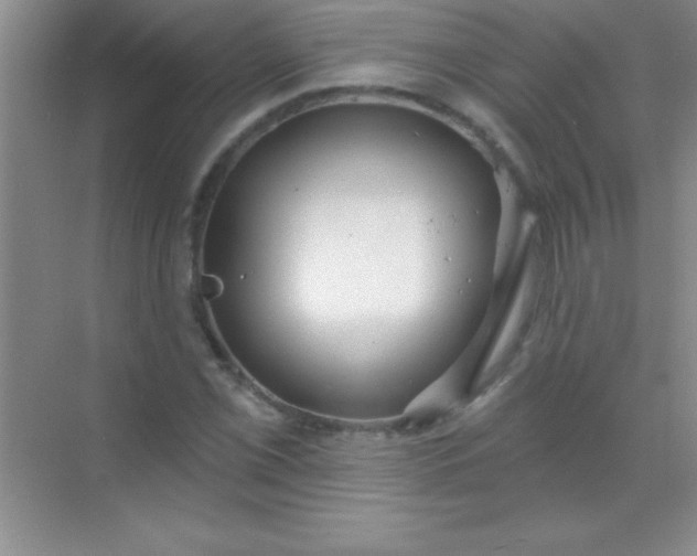 X0000068841069200605191919