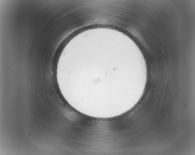 X0000068841070200605191919