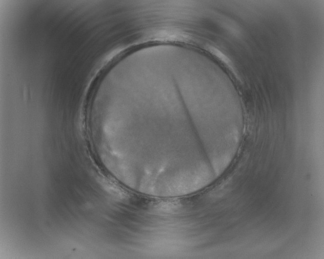 X0000068841074200605191919