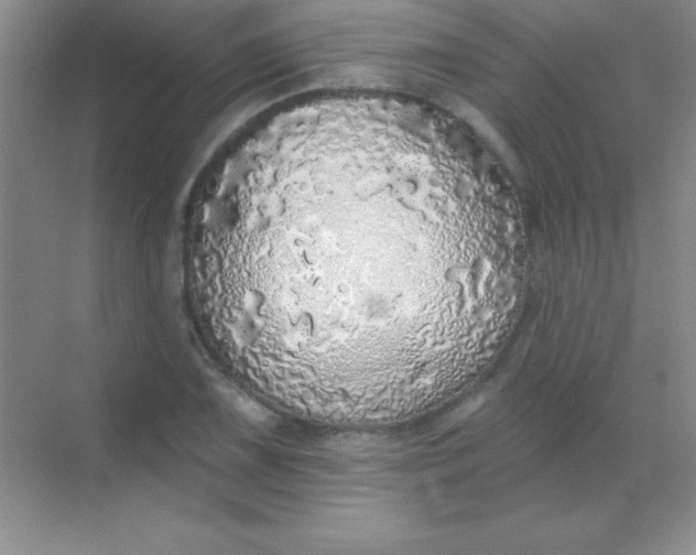 X0000068841075200605191919