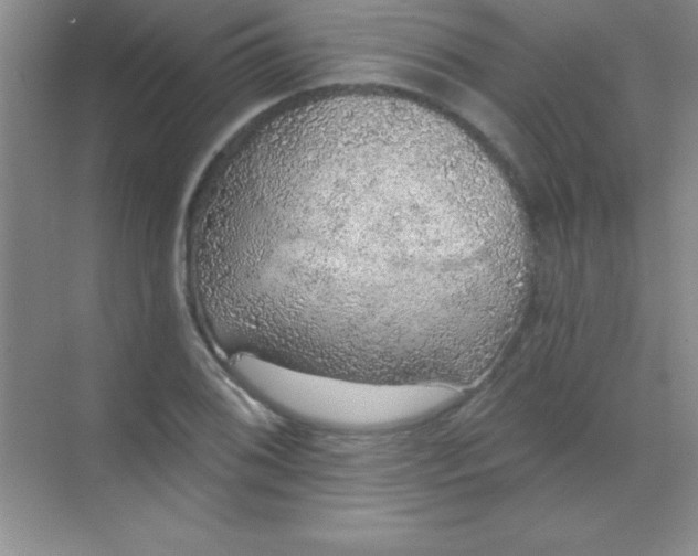 X0000068841076200605191919