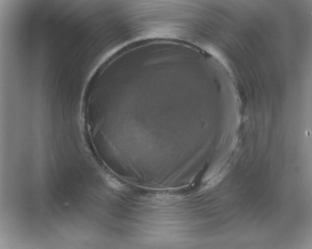 X0000068841077200605191919