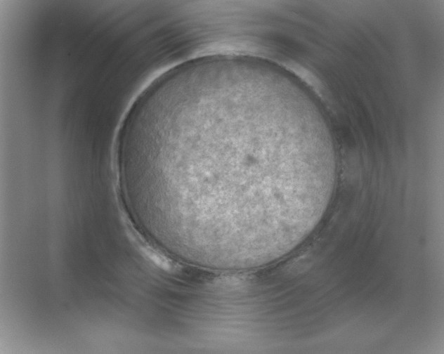 X0000068841078200605191919