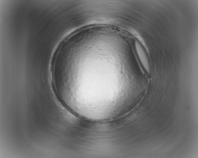 X0000068841080200605191919