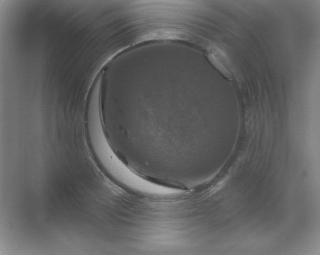 X0000068841081200605191919