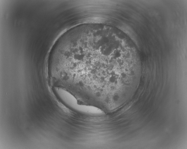 X0000068841083200605191919