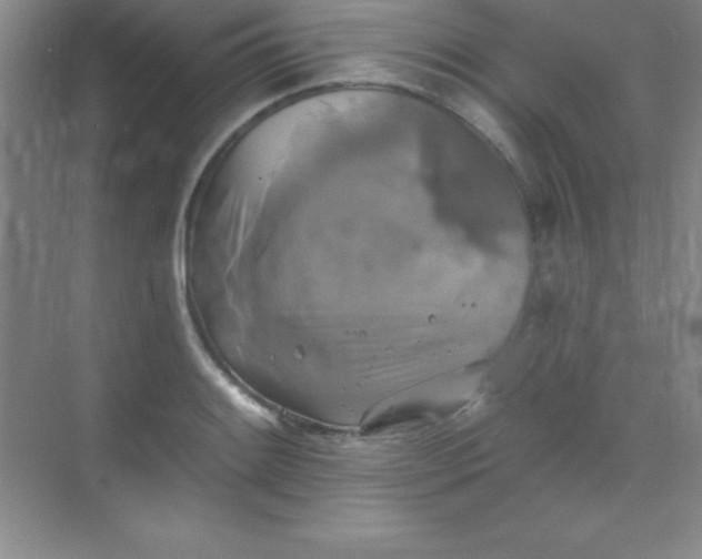 X0000068841084200605191919