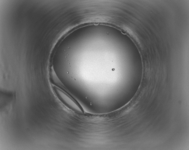 X0000068841085200605191919