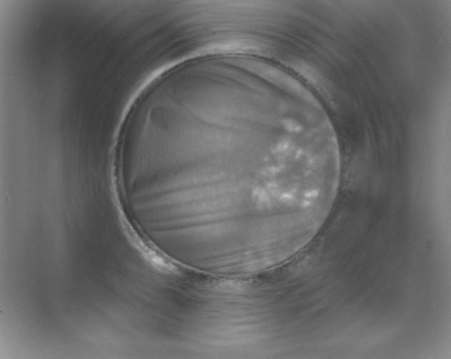 X0000068841086200605191919