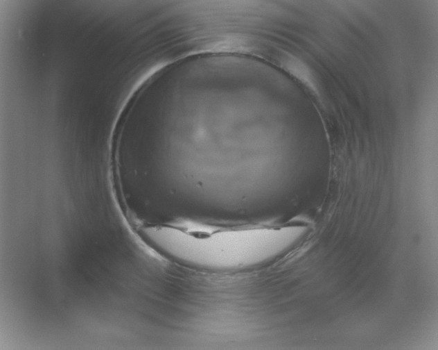 X0000068841087200605191919