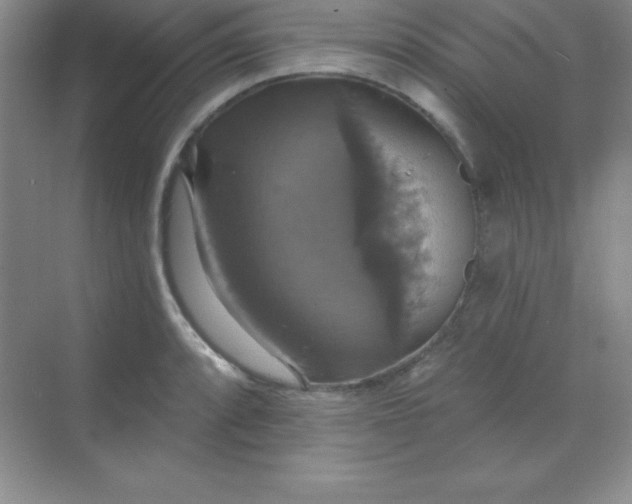 X0000068841088200605191919