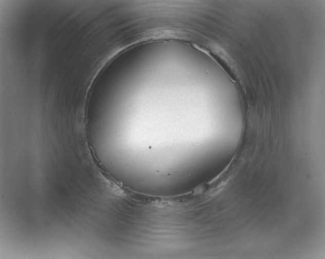 X0000068841089200605191919