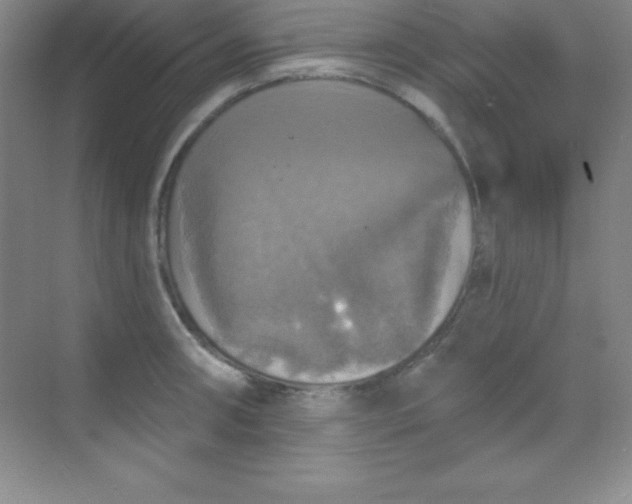 X0000068841090200605191919