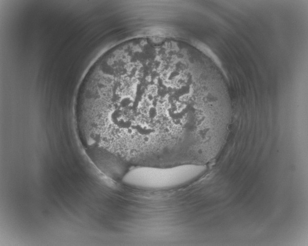 X0000068841091200605191919