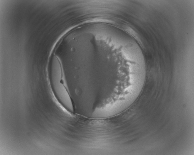 X0000068841092200605191919