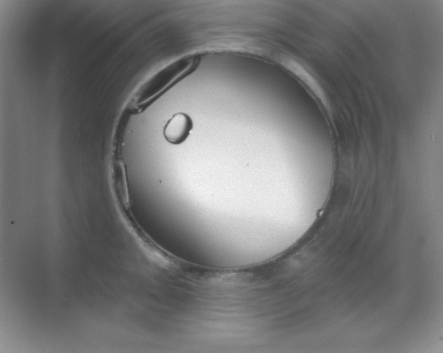 X0000068841093200605191919