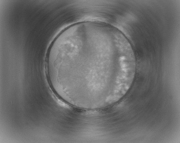 X0000068841094200605191919