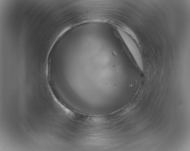 X0000068841095200605191919