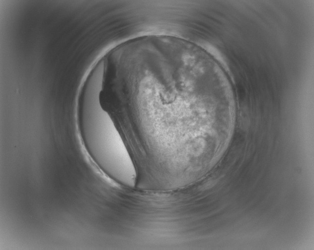 X0000068841096200605191919