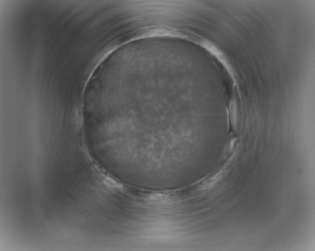 X0000068841097200605191919