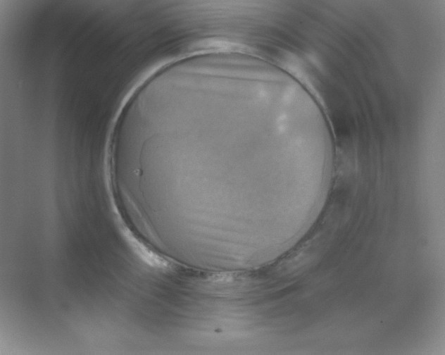 X0000068841098200605191919