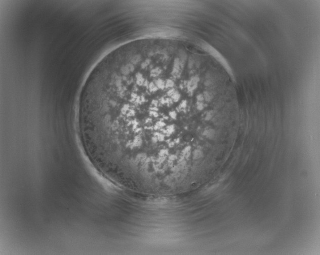 X0000068841099200605191919