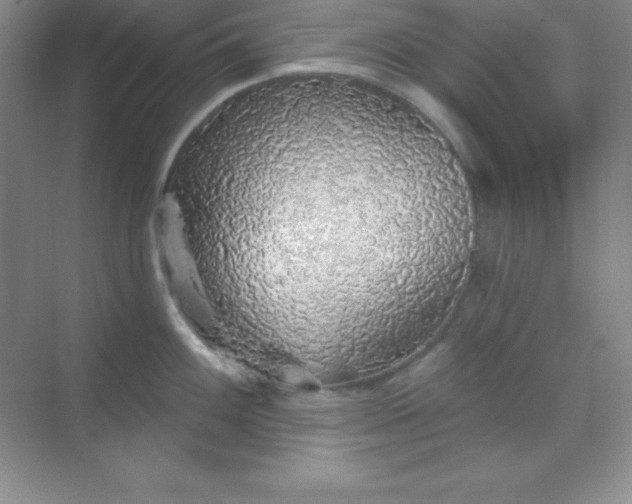 X0000068841100200605191919