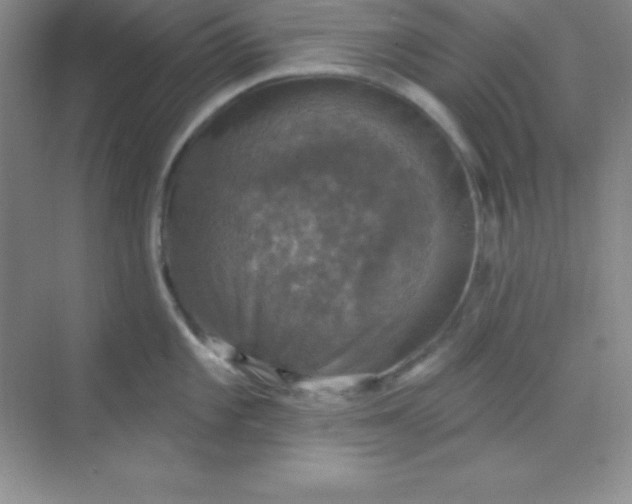 X0000068841101200605191919