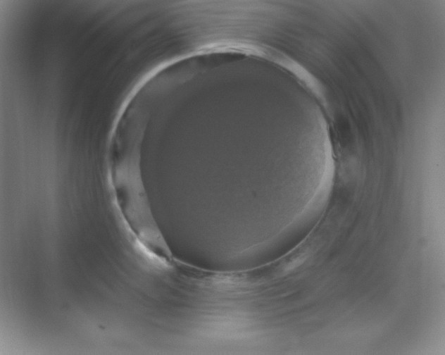 X0000068841102200605191919