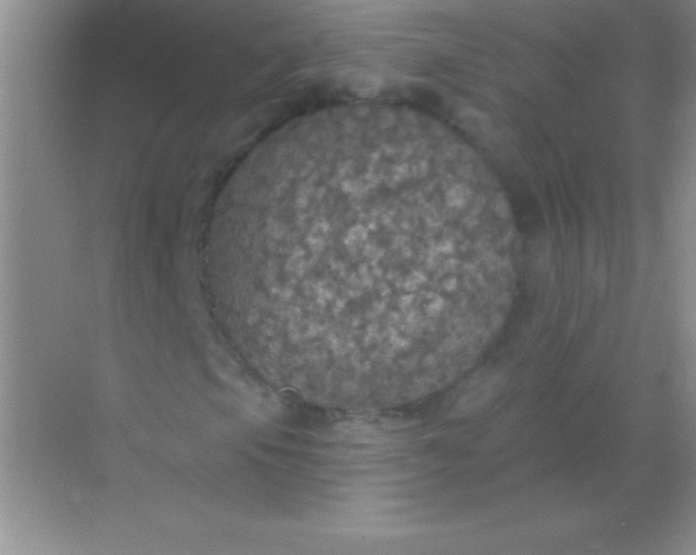 X0000068841105200605191918