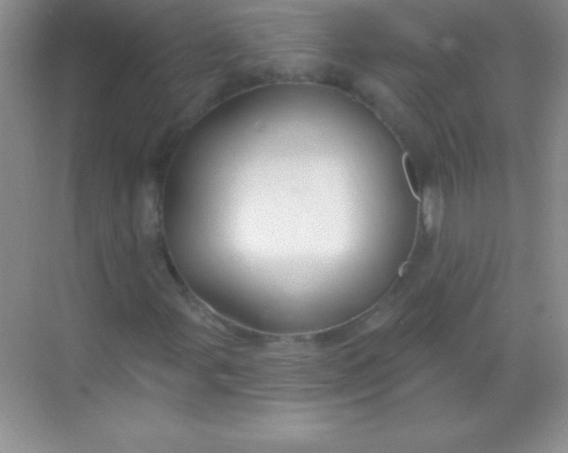 X0000068841107200605191918