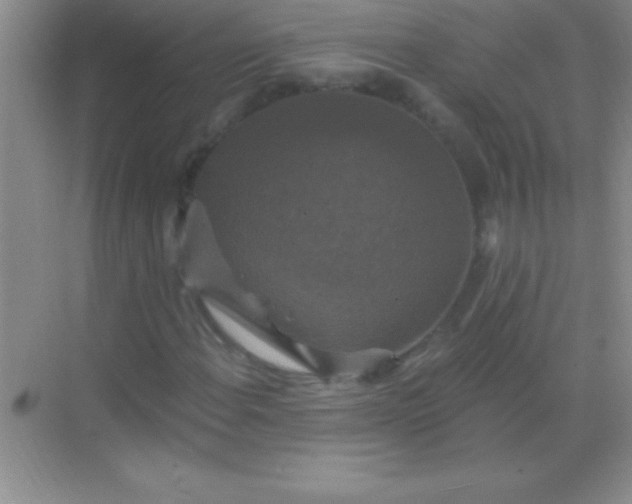 X0000068841108200605191918