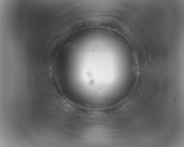 X0000068841109200605191918