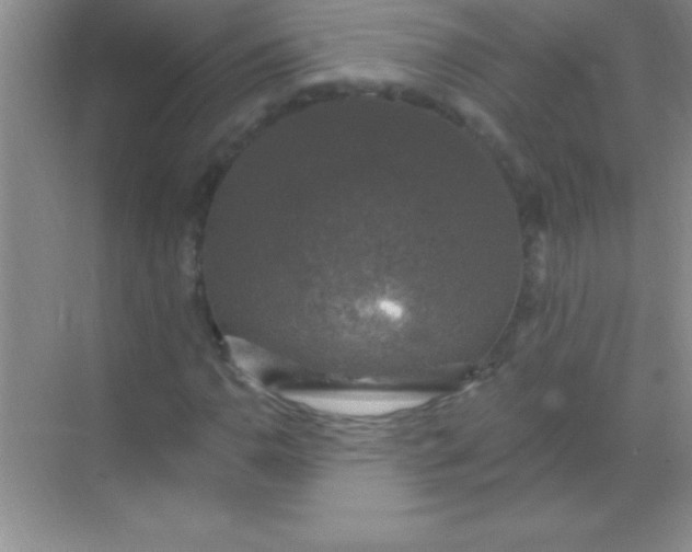 X0000068841110200605191918