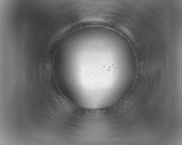 X0000068841111200605191918