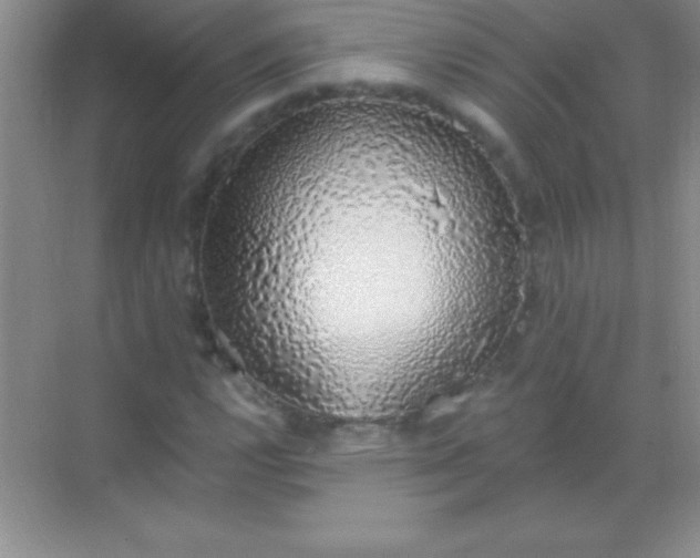 X0000068841112200605191918