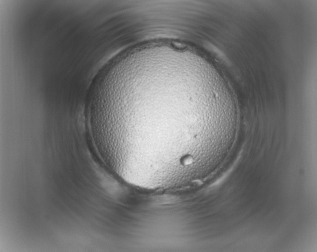 X0000068841113200605191918