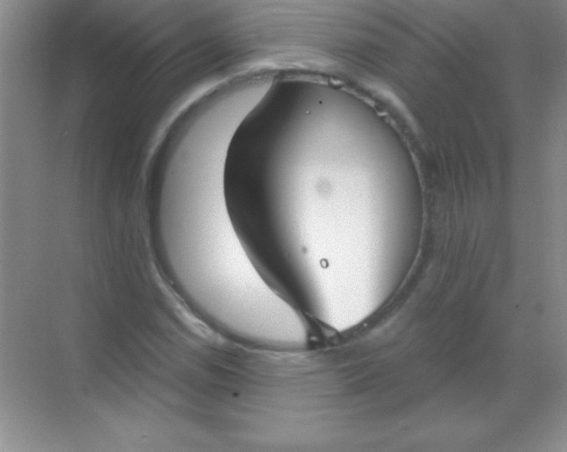 X0000068841114200605191918