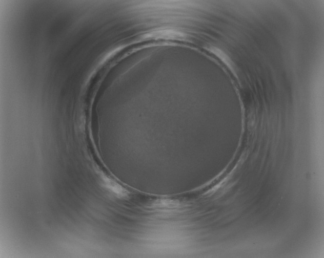 X0000068841115200605191918