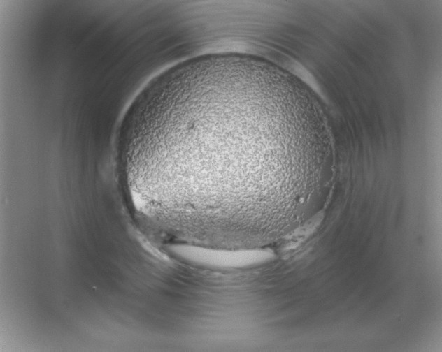 X0000068841116200605191918