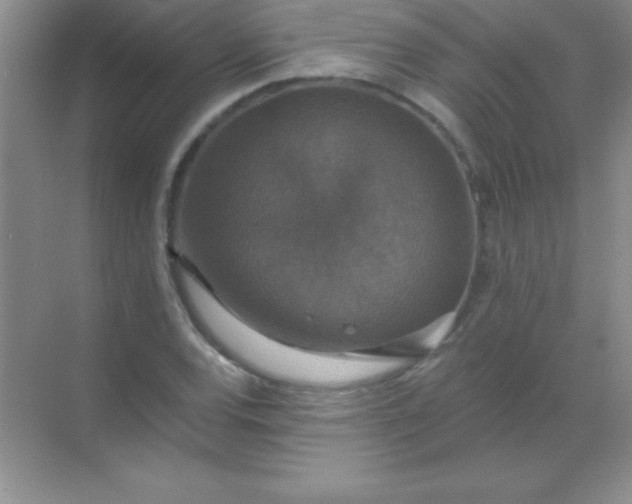 X0000068841120200605191918