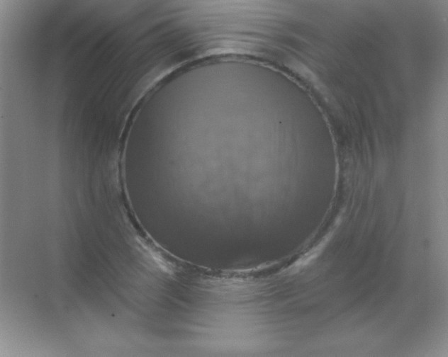 X0000068841121200605191918