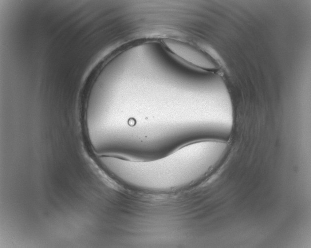 X0000068841122200605191918