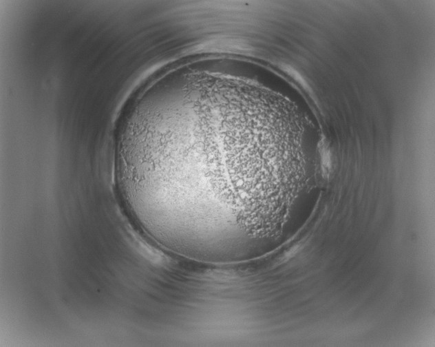 X0000068841123200605191918