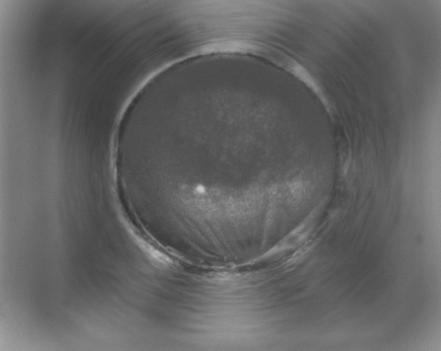 X0000068841124200605191918