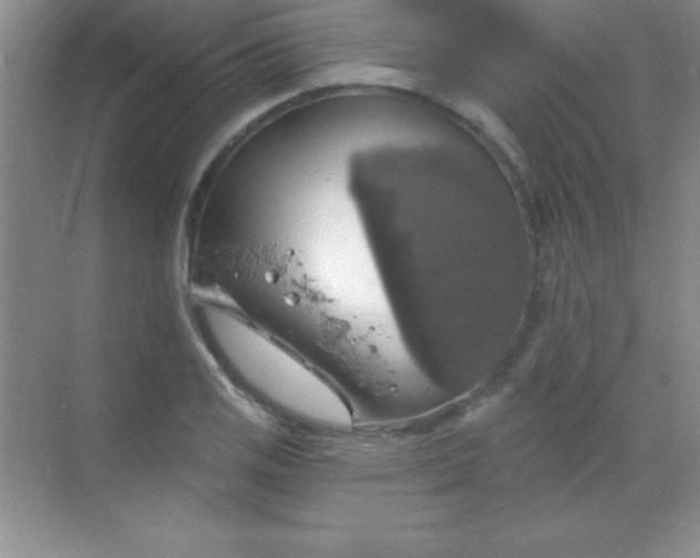 X0000068841125200605191918