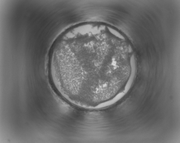 X0000068841126200605191918