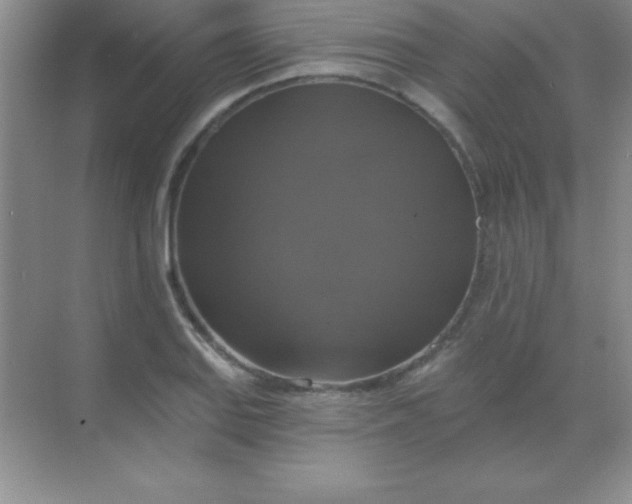 X0000068841127200605191918